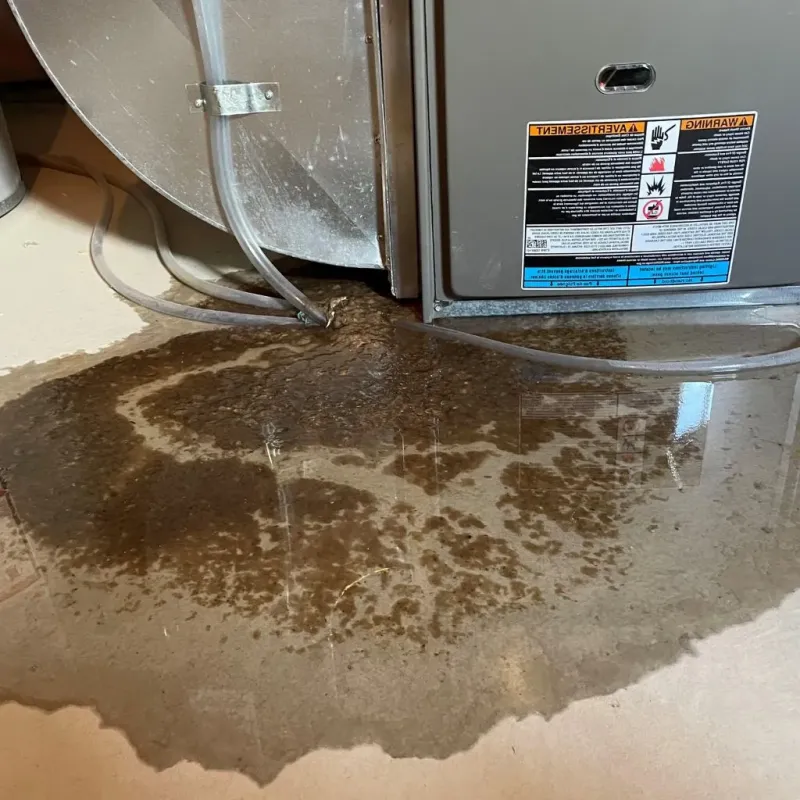 Pipe Burst and Leak Restoration in Greenville, NY
